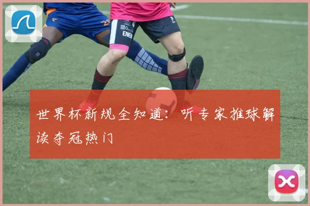 世界杯新规全知道：听专家推球解读夺冠热门
